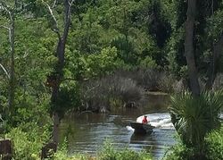 Pre-foreclosure in  CYPRESS AVE Panama City, FL 32401