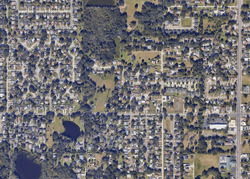  W Camellia Dr, Brandon FL