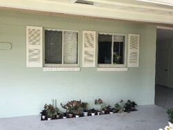Pre-foreclosure in  Mount Vernon St Orlando, FL 32803