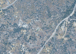 Pre-foreclosure in  Morgan Canyon Rd Prather, CA 93651