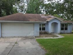 Pre-foreclosure in  SE 122nd Ln Belleview, FL 34420