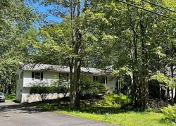 Pre-foreclosure in  Stillwater Dr Pocono Summit, PA 18346