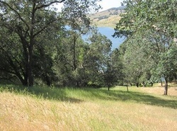  Shady Lane Dr, Morgan Hill CA