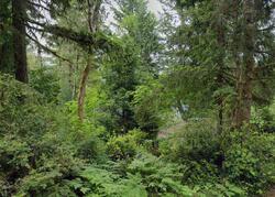  Marvin Rd Ne, Olympia WA