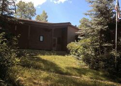 Pre-foreclosure in  SNOWBIRD TRL Oak Creek, CO 80467