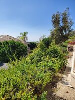 Pre-foreclosure in  Caminito Del Pilar Glendale, CA 91208