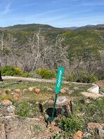 Pre-foreclosure in  Feather River Pl Paradise, CA 95969