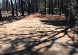 Pre-foreclosure in  Cumberland Rd Magalia, CA 95954