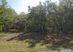 Pre-foreclosure in  N Fresno Ave Hernando, FL 34442