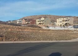  Castlemaine Ct, Castle Rock CO