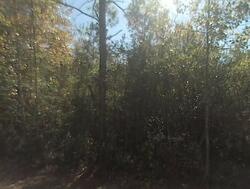 Pre-foreclosure in  1st St Youngstown, FL 32466