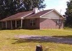 Pre-foreclosure in  CHAD RD Citronelle, AL 36522