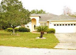 Pre-foreclosure in  RAINTREE BLVD Grand Island, FL 32735