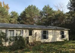 Pre-foreclosure in  E 76TH ST Newaygo, MI 49337