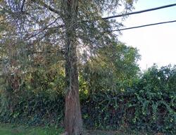 Pre-foreclosure in  HAYVENHURST AVE Encino, CA 91436