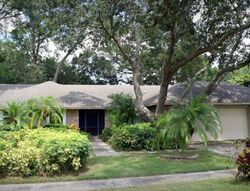 Pre-foreclosure in  DURANT OAKS DR Valrico, FL 33596