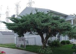 Pre-foreclosure in  TALLMAN AVE Romeoville, IL 60446