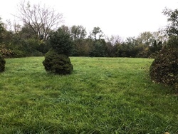 Pre-foreclosure in  WILD CHERRY LN Palos Park, IL 60464