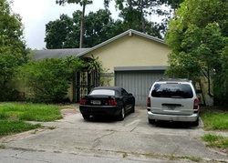 Pre-foreclosure in  CHERRY CREEK DR Tampa, FL 33618