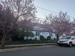 Pre-foreclosure in  S WAYNE ST Arlington, VA 22204