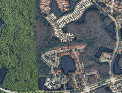 Pre-foreclosure in  MERMOOR DR Palm Harbor, FL 34685