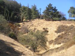 Pre-foreclosure in  ROLLING HILLS DR Morgan Hill, CA 95037