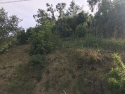 Pre-foreclosure in  LOMA VISTA PL Los Angeles, CA 90039