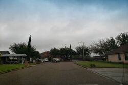 Pre-foreclosure in  AMAPOLA ST Edinburg, TX 78542