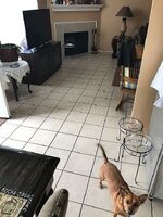 Pre-foreclosure in  Thicket Bend Dr Keller, TX 76244