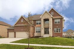 Pre-foreclosure in  Tullamore Ln Lemont, IL 60439