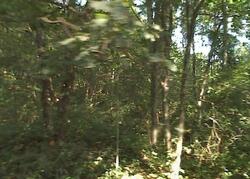 Pre-foreclosure in  N Cove Rd Sterling, MA 01564