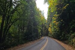 Pre-foreclosure in  Dana Dr Nw Gig Harbor, WA 98332