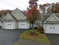 Pre-foreclosure in  Louis Hill Rd Sandy Hook, CT 06482