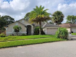 Pre-foreclosure in  Softwind Trl N Jacksonville, FL 32224