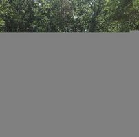  127th Ave, Allegan MI