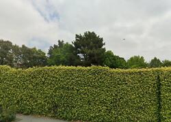  Endsleigh Ave, Inglewood CA