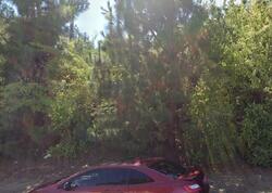 Pre-foreclosure in  S Hannalei Dr Vista, CA 92083