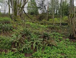  Fisher Rd, Edmonds WA