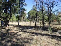  Pine Crest Dr, Happy Jack AZ