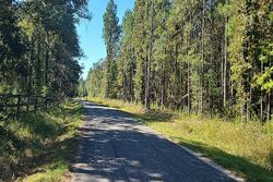  Frank Smith Rd, Poplarville MS
