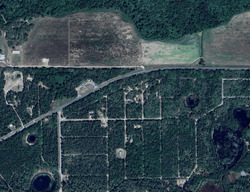 Pre-foreclosure in  NE 112th Ter Fort Mc Coy, FL 32134