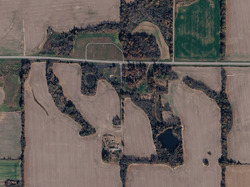  County Road 2250 E, Cisne IL