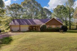Pre-foreclosure in  Palestine Rd Raymond, MS 39154