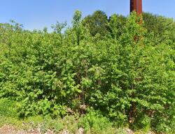 Pre-foreclosure in  SAINT JAMES TER Rochester, NH 03867