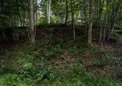 Pre-foreclosure in  Boggs Rd West Jefferson, NC 28694