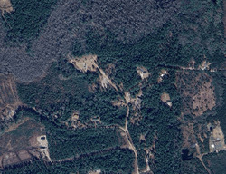 Pre-foreclosure in  FERN LN Maple Hill, NC 28454