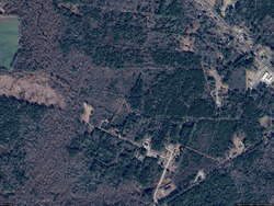 Pre-foreclosure in  Rock Rd Maple Hill, NC 28454