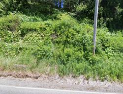  Wynooche Valley Rd, Montesano WA