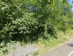 Pre-foreclosure in  SE Olson Rd Toledo, OR 97391