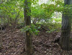 Pre-foreclosure Listing in Seldon Rd PETOSKEY, MI 49770